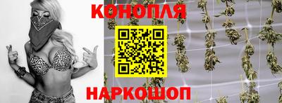 крисы Аргун