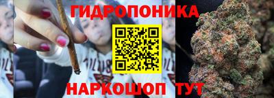 крисы Аргун