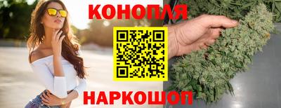 крисы Аргун