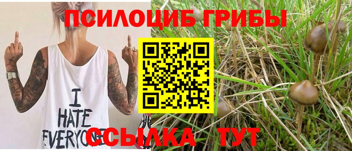 Галлюциногенные грибы Cubensis  Вход с VPN  Псилоцибиновые грибы Psilocybine cubensis  Ахтубинск 